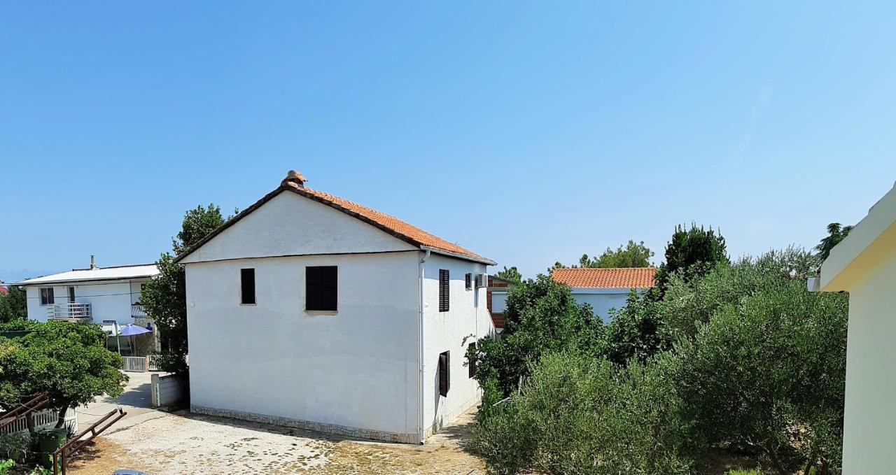Dalmatino Apartmani Vir Bagian luar foto