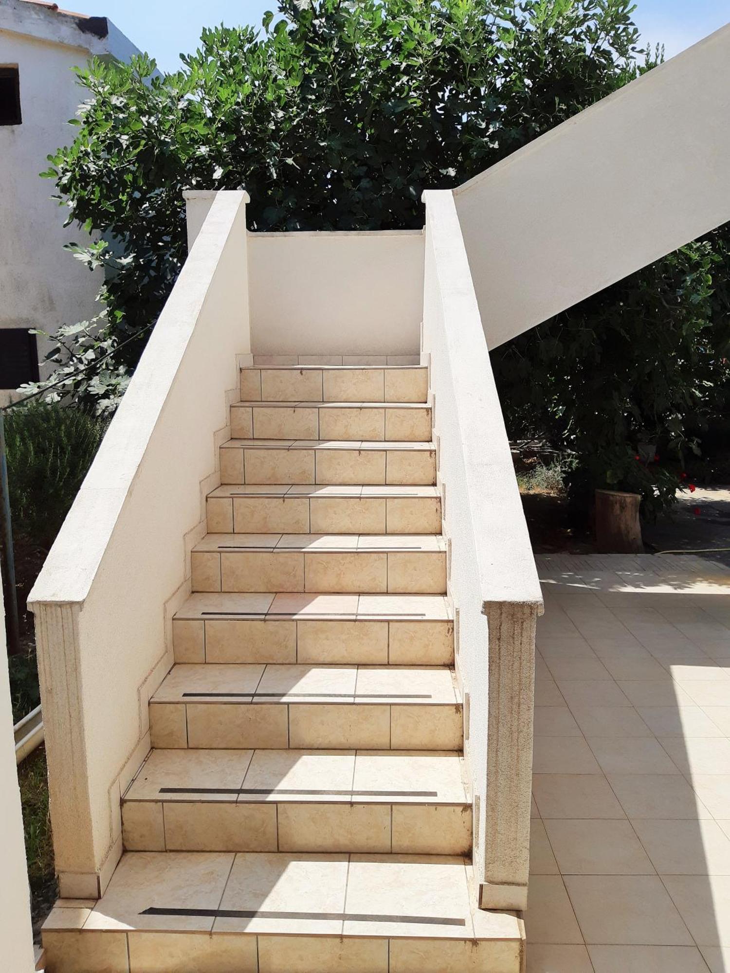 Dalmatino Apartmani Vir Ruang foto
